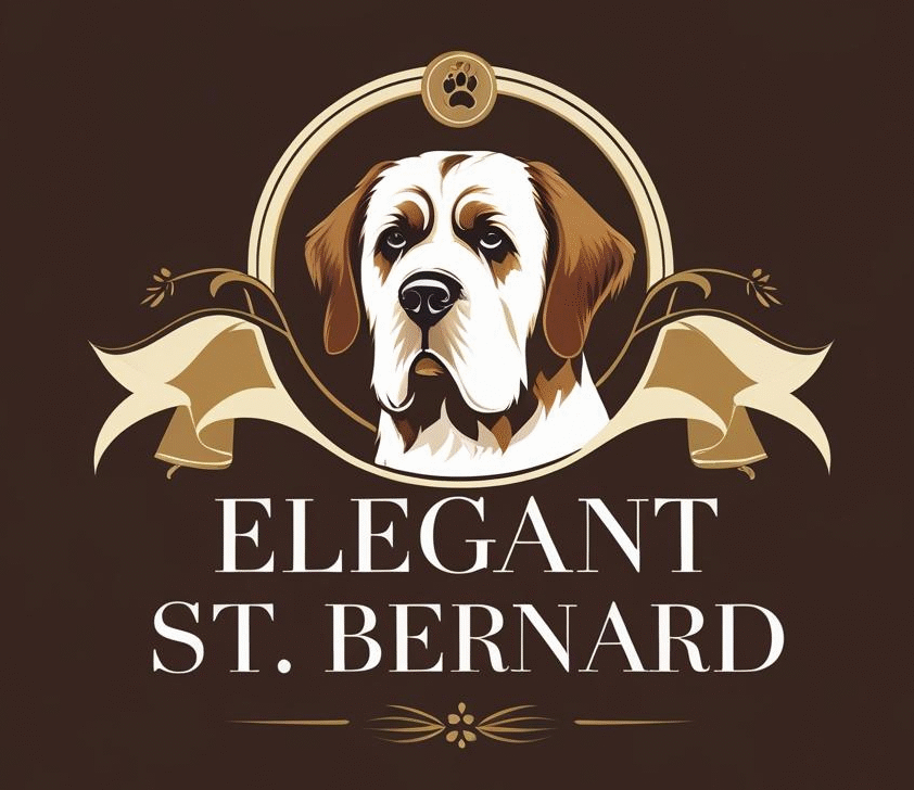Elegant Saint Bernard